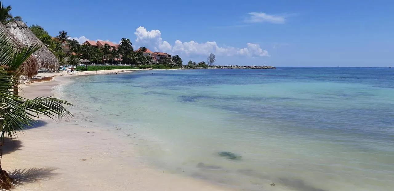 Alojamento de Acomodação e Pequeno-almoço Villa Susana Beach Front House Puerto Aventuras México